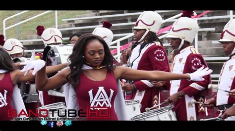 Louis Crews Classic Alabama Aandm University Marching Intunnel