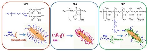 Polymers Free Full Text Biopolymer Coatings For Biomedical Applications