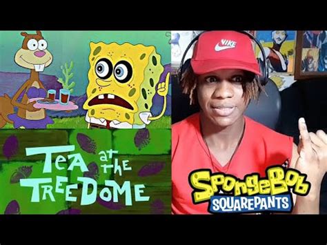 Spongebob Squarepants Episode Tea At The Treedome Reaction Youtube