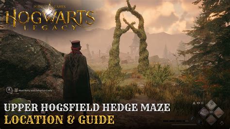 Hogwarts Legacy Upper Hogsfield Hedge Maze Guide Location Youtube