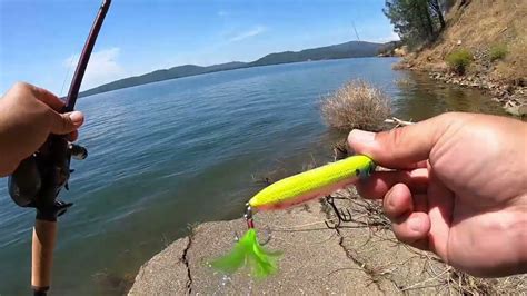 Lake Oroville Fishing And Exploring (Bass Fishing) – Bass Manager | The ...