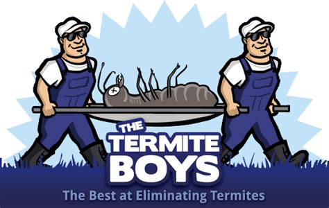 Termiteboyscontrol – Medium