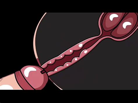 Eyaculacion Interna 4 Animacion XVIDEOS