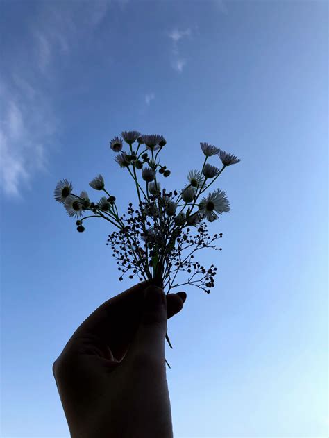 Эстетика лето 🌞 | Эстетика, Лето, Синие картинки
