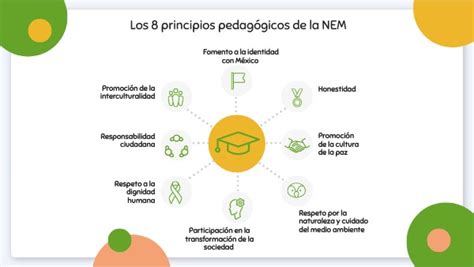 Los 8 principios pedagógicos de la NEM