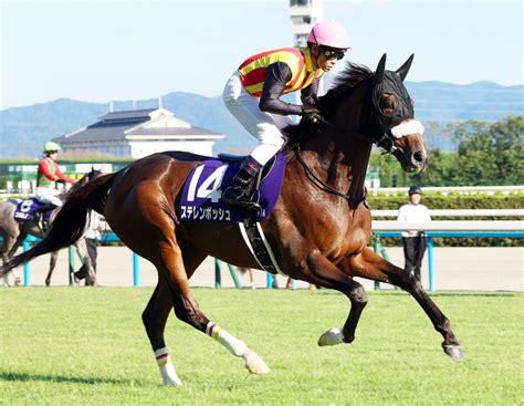 【秋華賞】桜花賞馬ステレンボッシュは3着 2冠制覇ならず オークス馬のチェルヴィニアがv 写真1 Umatoku 馬トク