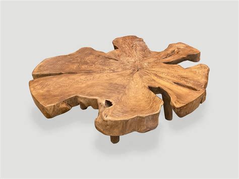 Organic Teak Root Coffee Table M Andrianna Shamaris