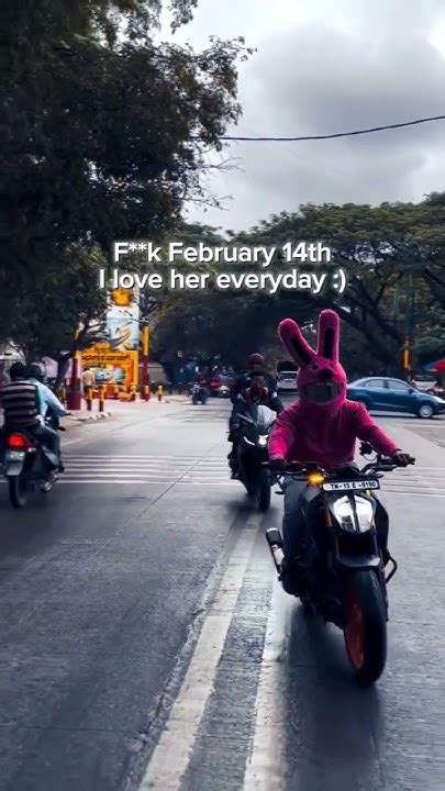 Bunny Helmet Cover ♥️cute Girls ♥️ktm Saran Op Ktm Trending