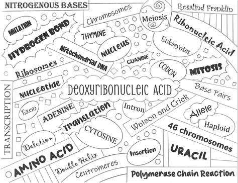 Introduction to DNA Word Collage (Vocabulary, Biology, Coloring) | Made By Teachers