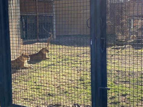 Visiting Zoo Boise: Family-friendly things to do in Boise [video] - Dear Boise, Idaho