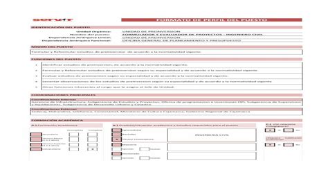 FORMATO DE PERFIL DEL PUESTO municaj gob pe IDENTIFICACIÓN DEL