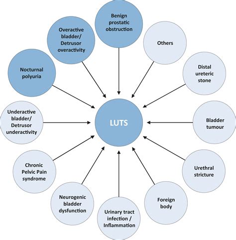 Management Of Non Neurogenic Male Luts Epidemiology Aetiology And