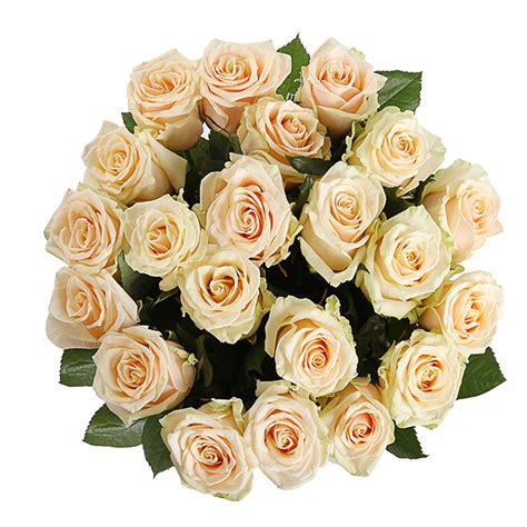 21 кремовая роза — Доставка цветов по Москве | Купить цветы с доставкой ...