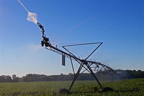 El Ministerio de Agricultura Pesca y Alimentación saca a consulta