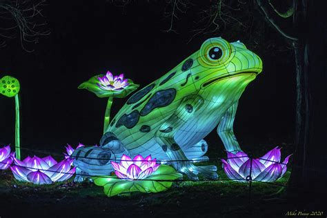 Zoo Lights seattle 50 Photograph by Mike Penney - Fine Art America