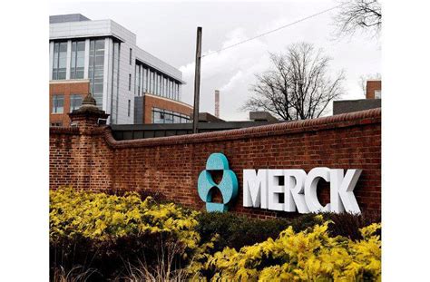 Bolsa de Trabajo de Merck México 2023 JoceJob JJ 2024