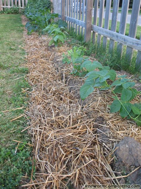 Natural Gardening From Scratch Adding A Composting Trench To The Garden