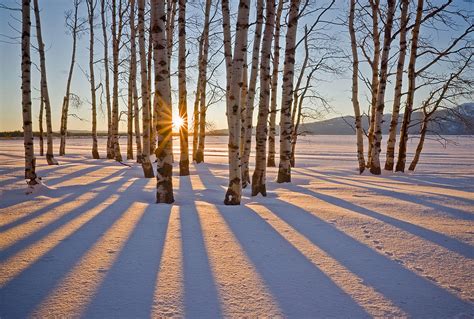 Essential Gear and Tips for Winter Photography | OPG