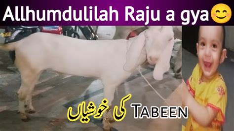 Eid Kurbani Ka Bakra 😍 Bache Khushi Se Pagal Kurbani Ki Tyari ️