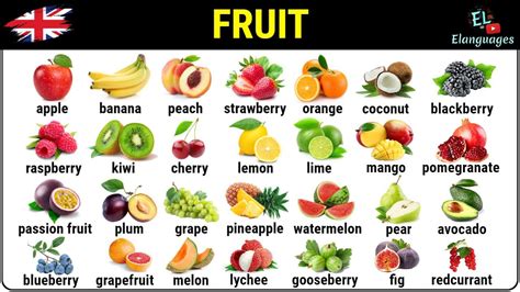 Fruit Vocabulary In English With Pictures Fruits Names List YouTube