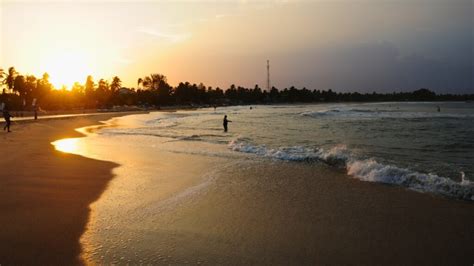 arugam bay travel  surfing nightlife top