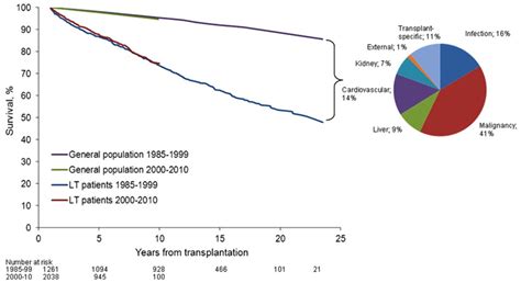 Ijms Free Full Text Strategies For Liver Transplantation Tolerance