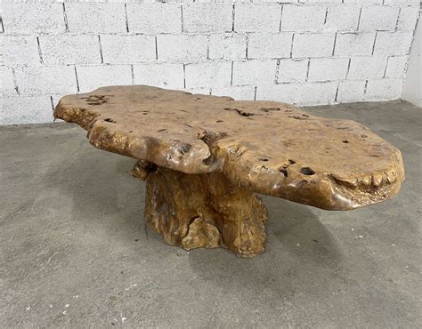 Ancienne table basse en loupe d orme design brutaliste années 50