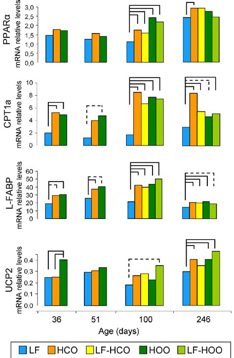 Relative Hepatic Mrna Expression Of Genes With A Role In Lipid