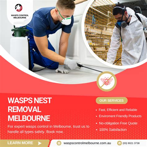 how to know if a wasp nest is active