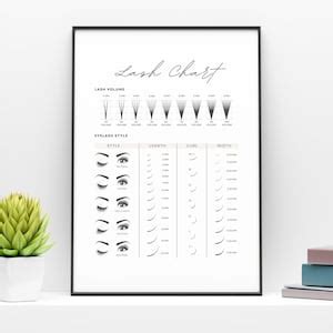 Digital Lash Chart Guide Printable Lash Poster Eyelash Etsy