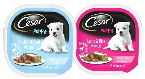 Cesar Dog Food Review | Ratings | Recalls - Dog Food Heaven