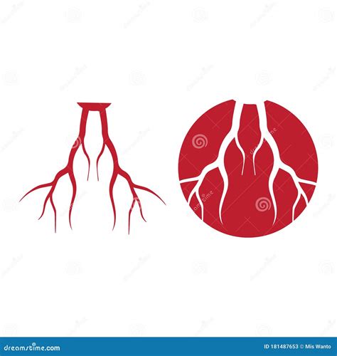 Human Veins Red Blood Vessels Design And Arteries Vector Illustration