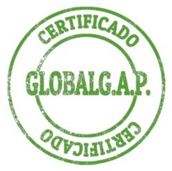 Ventajas Y Desventajas De La Certificaci N Global Gap