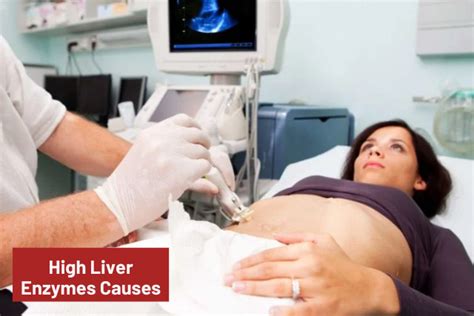 High Liver Enzymes Symptoms Causes And Treatment