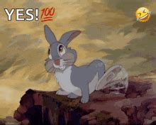 Thumper Bambi GIF - Thumper Bambi Funny - Discover & Share GIFs