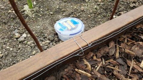 How To Build A Humane Slug And Snail Repelling Fence Diy Crafts