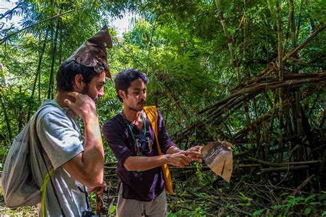 Khao Sok Trekking Tours Learn How To Chose To Choose The Best Hike