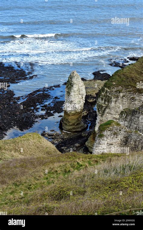 Flamborough Head Cliffs Stock Photo - Alamy