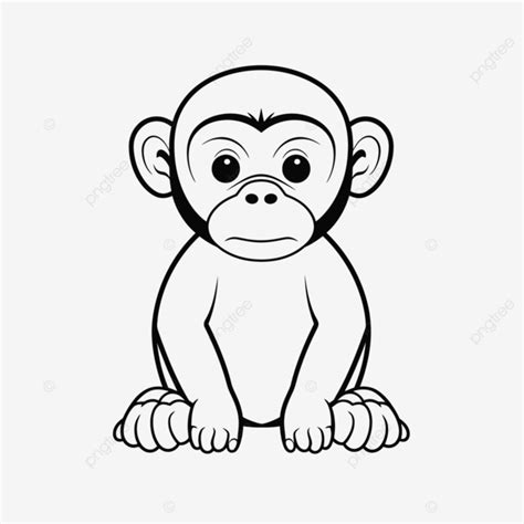 Baby Monkey Drawing On A White Background Outline Sketch Vector, Baby ...