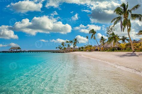 Paradise Island Beach Tropical Landscape Of Summer Scenery Sea Sand