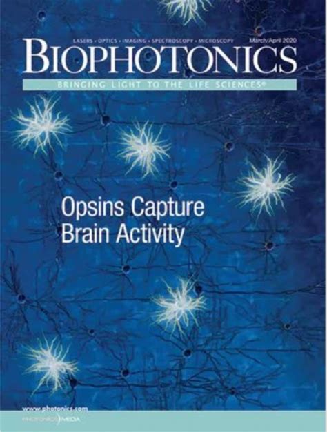 AR Microscopy with AI in Biophotonics - Augmentiqs