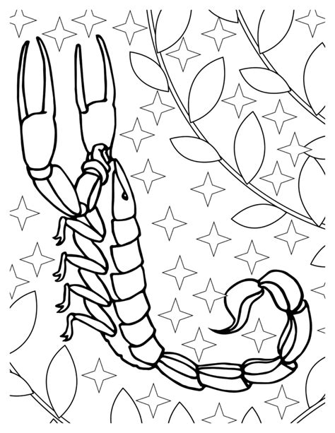 Scorpio Coloring Pages Free Printable Designs For Kids And Adults