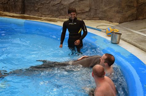 Glorious Gay Days Making Out With A Dolphin
