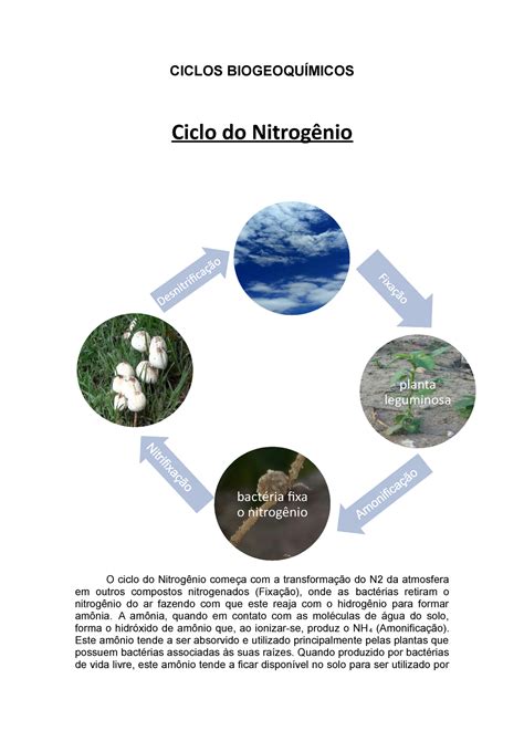 Ciclos Biogeoquímicos CICLOS BIOGEOQUÍMICOS Ciclo do Nitrogênio O