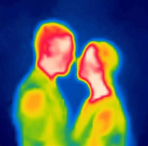 How to convert a photograph to look like a thermal infrared spectrum