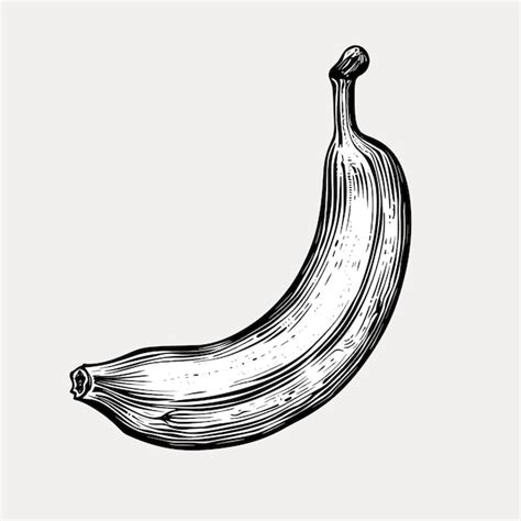 Vintage banana illustration detailed sketch | Premium AI-generated vector