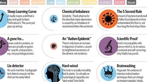 Explore 62 Popular Myths And Misconceptions With This Interactive Chart