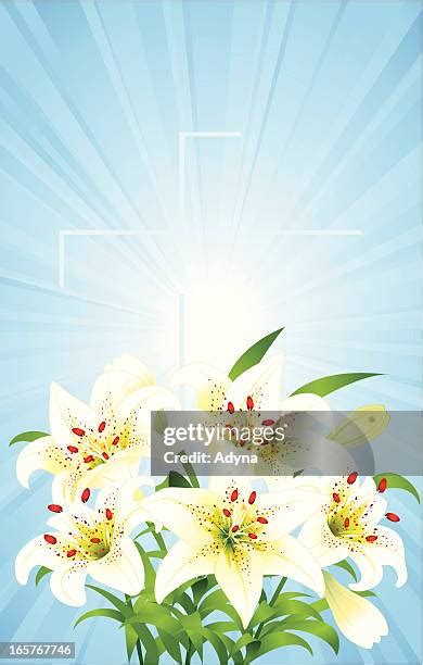 Easter Lily And Cross Photos And Premium High Res Pictures Getty Images