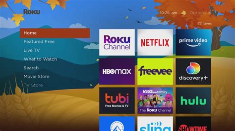 How to Change Your Roku TV Home Screen Wallpaper and ScreenSaver - Dignited