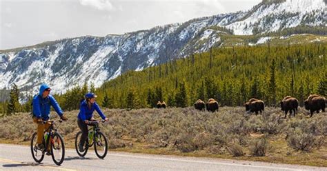 Day Tour: Yellowstone | Outside Bozeman